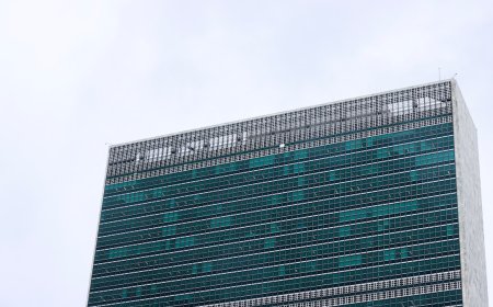 Uni Eropa Geger di WTO: Subsidi Biodiesel Terancam, Isu Lingkungan Meruncing