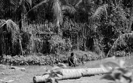 Inovasi AI Menyelamatkan Bahasa Ibu Kekuatan Digital Generasi Muda