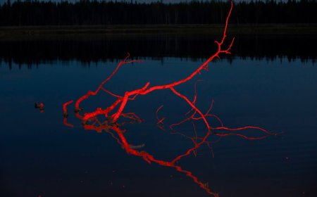 Jangan Pernah Hiking Saat Kencan Pertama Jika Pasanganmu Mencurigakan