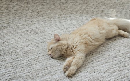 Bongkar Mitos Asam Lambung! Rahasia Tidur Nyenyak Tanpa GERD