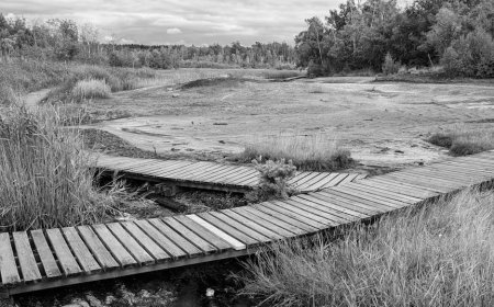 Google Pixel 10 Pro Ponsel Kecil Terbaik AI Google Kian Cerdas