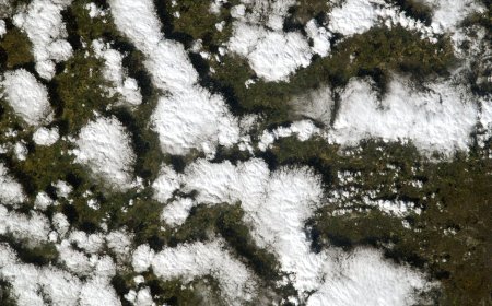 Hidup Lebih Seru! Temukan Hobi Baru Jelajah Dunia Pakai Google Earth Pro