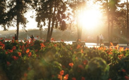 Bongkar Mitos Tidur Malam: Rahasia Jalan Kaki untuk Mental dan Istirahat Optimal