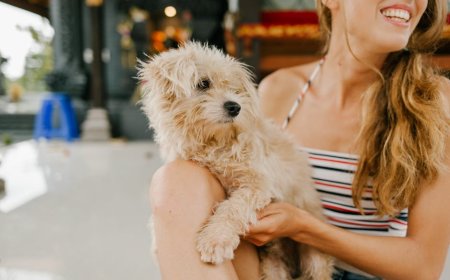 Liburan Seru Bareng Anabul! Panduan Transportasi Ramah Hewan di Indonesia