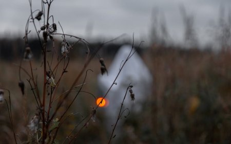 File Aneh di Komputerku Malam Itu Membawaku ke Teror Tak Terduga