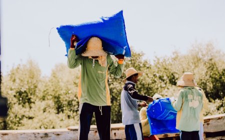 Pertamina Beli Minyak Rakyat: Peluang Ekonomi Baru bagi Masyarakat