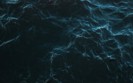 Pola Dogecoin Ini Bisa Ubah Segalanya, Kamu Wajib Tahu!
