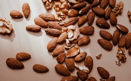 Mitos Protein Nabati: Fakta Gizi Sehat dan Pengaruhnya pada Tidur Malam