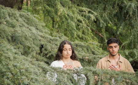 Forest Bathing Solusi Alami Redakan Stres Tingkatkan Imunitas Tidur Nyenyak