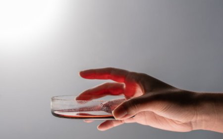 Bongkar Mitos! Antioksidan Kunci Mitokondria Lawan Penuaan Dini