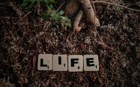 Menguak Misteri Borobudur Simbol Pohon Kehidupan dan Kosmologi Relief Kuno