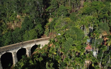 Menginap di Glamping Zero Waste Asia Hidden Gems Alam yang Ramah