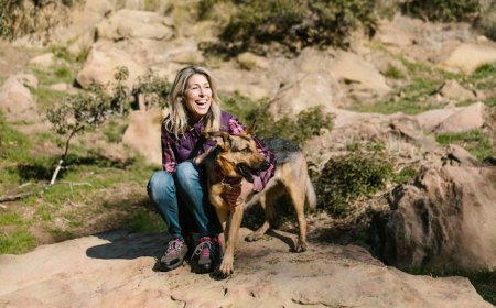 Panduan Lengkap Traveling Seru Bersama Hewan Peliharaan di Indonesia