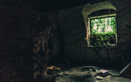 Aku Memelihara Anjing Baru Hidupku Berubah Menjadi Mimpi Buruk