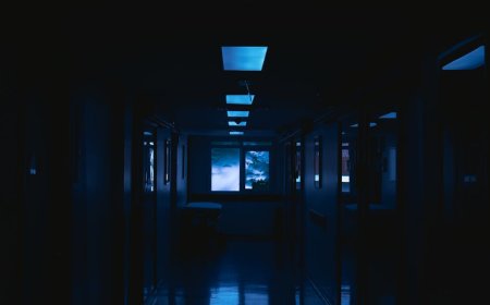 Aku Dilahirkan di Laboratorium dan Musim Panas Itu Aku Membunuh Saudara Kandungku