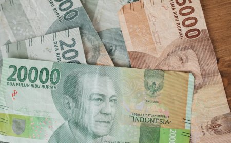 Pahami Skema Gaji Tunggal ASN Pengaruhi Keuangan Pribadi Anda