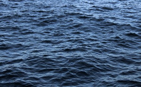 Membongkar Mitos Tidur Malam: Rahasia Biohacking untuk Pemulihan Optimal