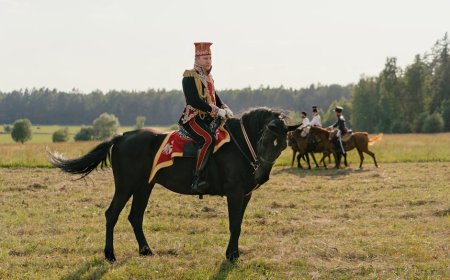 Kisah Gajah Kuda Anjing Perang Penentu Taktik dan Hasil Pertempuran Sejarah