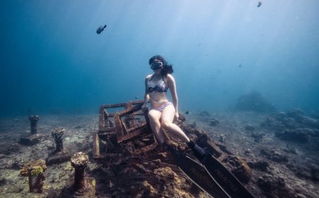 Petualangan Snorkeling dan Freediving Indonesia! Temukan Surga Bawah Laut Tersembunyi