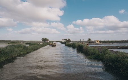 Irigasi Kuno Mengubah Gurun: Kisah Hebat Mesopotamia, Mesir, dan Inca