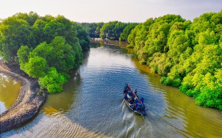 Rahasia Ekowisata Mangrove Indonesia: Petualangan Tak Terlupakan di Harta Karun Tersembunyi