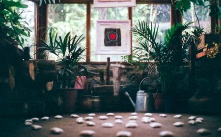 Bikin Rumah Adem! Tips Desain Biophilic untuk Ketenangan Hunian Urban