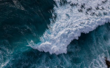 Lelah Liburan? Aplikasi AI 'Endless Summer' Sulap Foto Impian Anda!