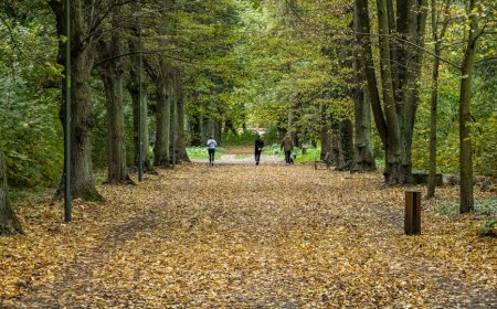 Bongkar Mitos Saraf Vagus dan Inflamasi Kronis: Tidur Nyenyak Solusi Ampuh