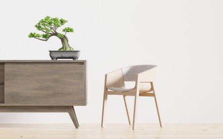 Ciptakan Rumah Tenang dan Segar Dengan Desain Biophilic Praktis