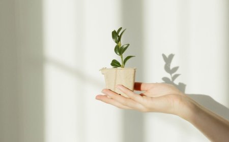 Investasi Bukan Hanya Milik Orang Kaya, Ini Cara Memulainya