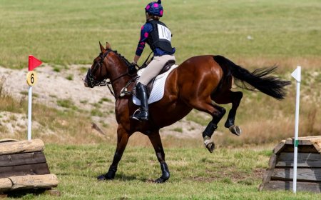 Rahasia Menguasai Lintasan Spartan Race: Latihan Ketahanan, Kekuatan, Kelincahan Optimal