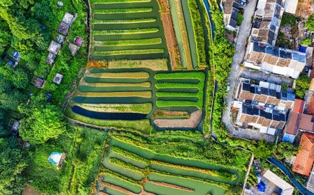 Mitos Investasi Tanah: Benarkah Semua Lahan Selalu Menguntungkan?