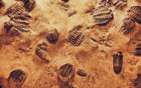 Menerangi Sejarah: Evolusi Penerangan Malam dari Obor hingga Minyak Tanah