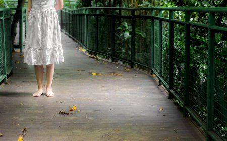 Temukan Ketenangan Jiwa Melalui Meditasi Berjalan di Kebun Raya Bogor