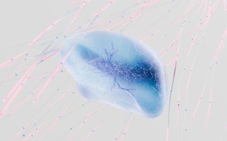 AI Kena 'Brain Rot'? Pelajaran untuk Kebiasaan Digital Kamu!
