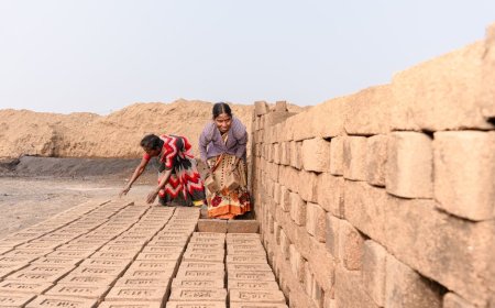 Jejak Peradaban: Kisah Megah Irigasi Kuno Mesopotamia dan Mesir