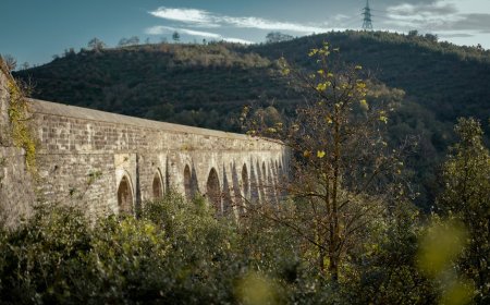 Inovasi Irigasi Kuno Mesir dan Romawi Mengubah Peradaban