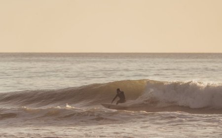 Surfing Rahasia Kebugaran Holistik Fisik, Mental, dan Spiritual Anda