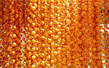 Biar Gak Kekurangan Vitamin D, Coba 11 Makanan Ini, Suplemen Perlu Gak Sih?