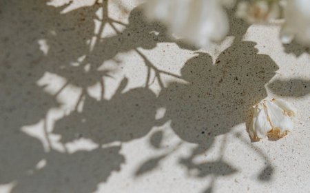 Bongkar Mitos Kimia Otak: Tingkatkan Mood, Fokus, Tidur Nyenyak Alami