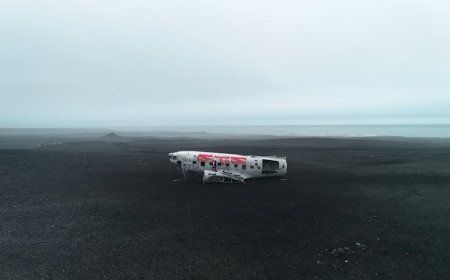 Badak 'Frosty' Aneh Penjelajah Arktik Kanada, Fosilnya Bikin Gempar!