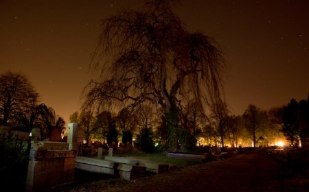 Catatan Kelam dari Bencana Ekskavasi Mesir yang Terlupakan