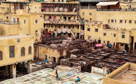 Pigmen Langka dan Pewarnaan Kuno Mengubah Seni, Fashion, Perdagangan Dunia