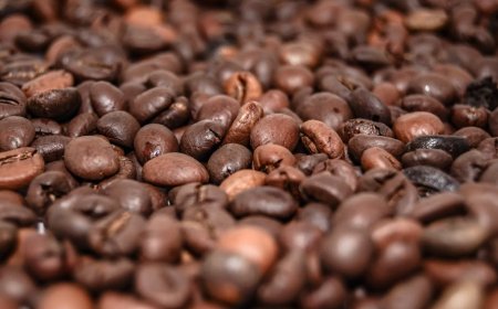 Tips Memilih Biji Kopi Terbaik untuk Espresso dan Seduhan Manual