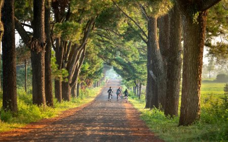 Jelajahi Hidden Gems Indonesia dengan Sepeda Aman dan Seru