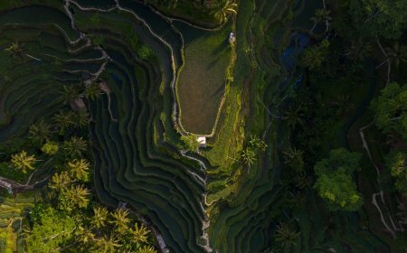 Slow Travel di Bali Temukan Hidden Gems dan Liburan Santai Maksimal