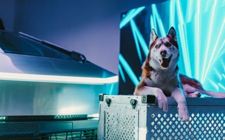 Cybertruck Tesla Ditarik Massal, Lampu Atas Rawan Copot Saat Melaju