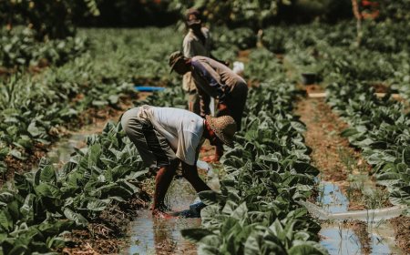 Tips Mendukung Slow Fashion dan Brand Lokal Berkelanjutan