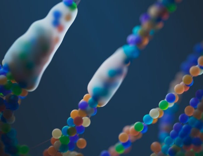 Puasa Intermiten Bongkar Mitos! Raih Manfaat Autophagy dan Kesehatan Optimal