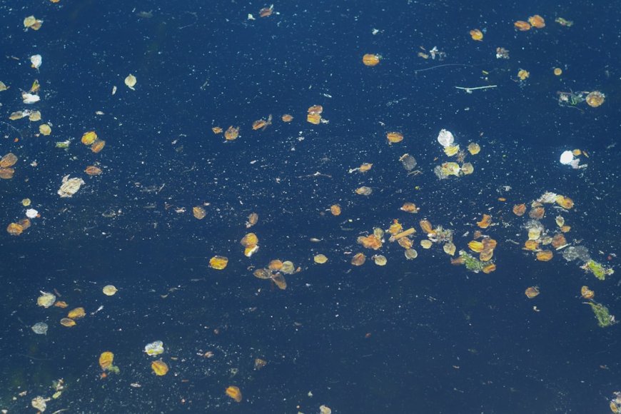 Terungkap! AI dan Satelit Bongkar Sarang Sampah Ilegal dari Angkasa